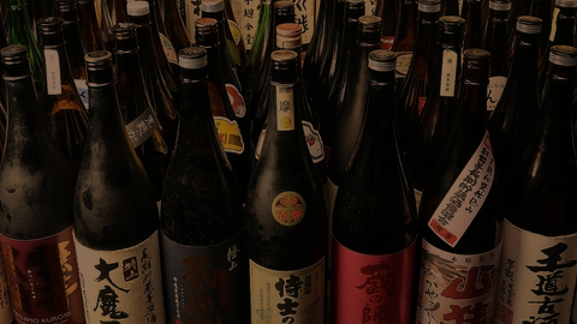 ずらりと並んだ様々な種類の焼酎ボトル SP